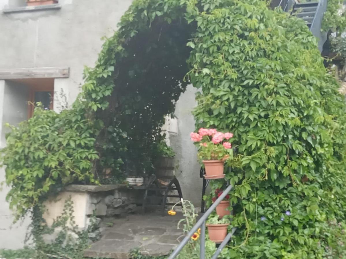 Ferienwohnung Atico-Duplex Basa La Mora Saravillo Exterior foto